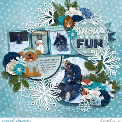 Snow Much Fun