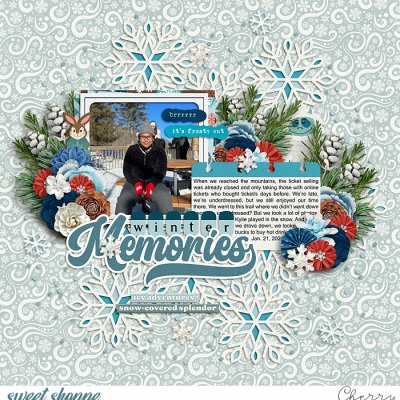 Winter Memories