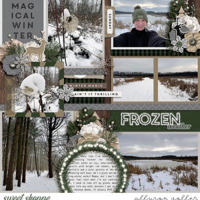Frozen weather