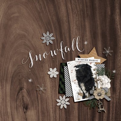 snowfall