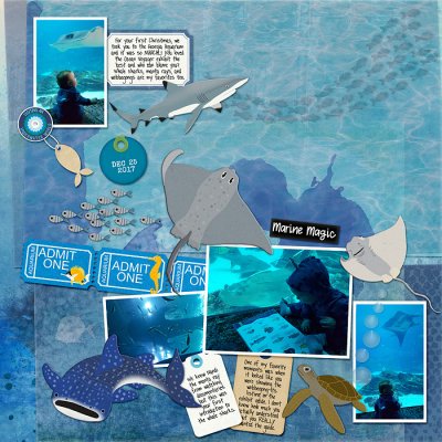 Ocean Voyager