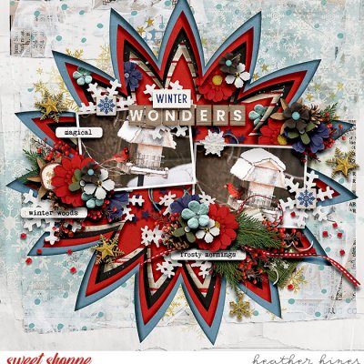 Winter Wonders