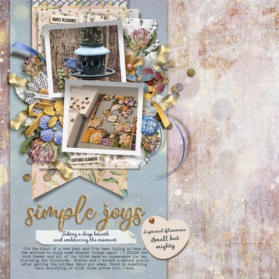 January Simple Joys