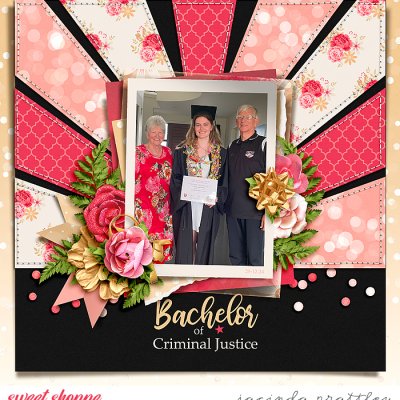 Bachelor of Criminal Justice