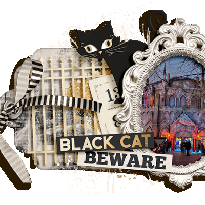 Beware: Black Cat