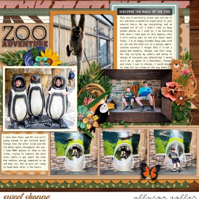Zoo Adventure right