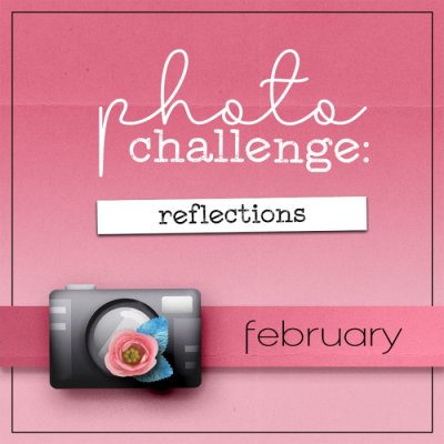 February Challenge: Reflections
