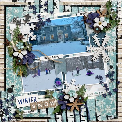 Winter snow