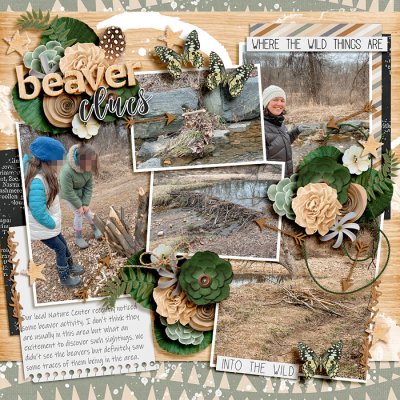 Beaver Clues