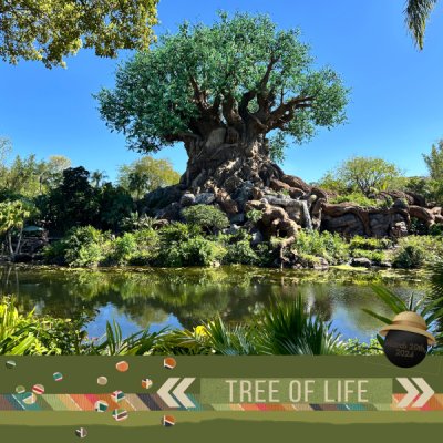Tree Of Life