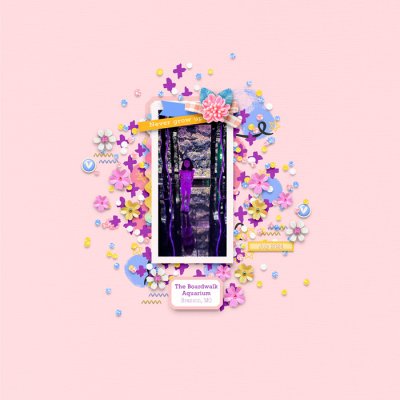 AQUARIUM_SM
