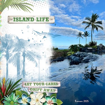 Island Life