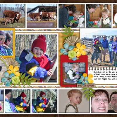 Farmyard Fun