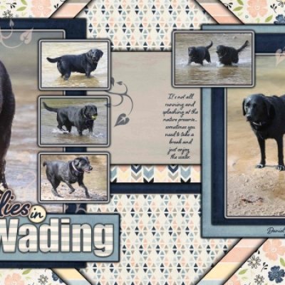 Ladies in Wading