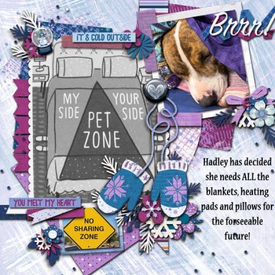 February Bingo Challenge #4