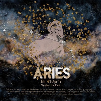WHAT'S MY SIGN