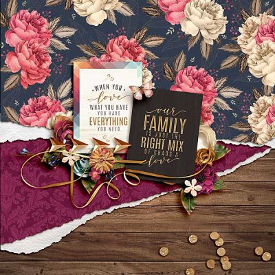 family-copy