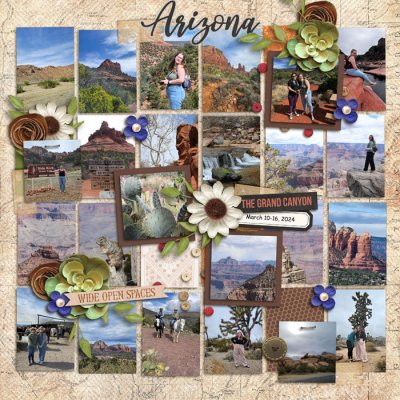 Arizona in Review