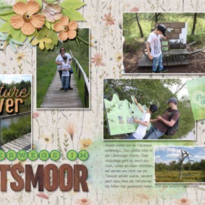 Pietzmoor