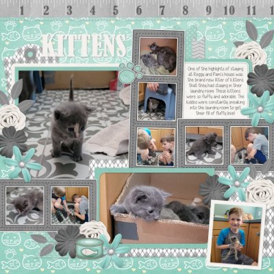 Kitten