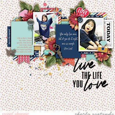 live the life you love