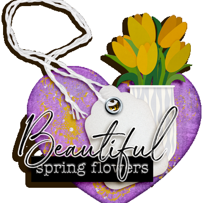 Beautiful Spring Flowers