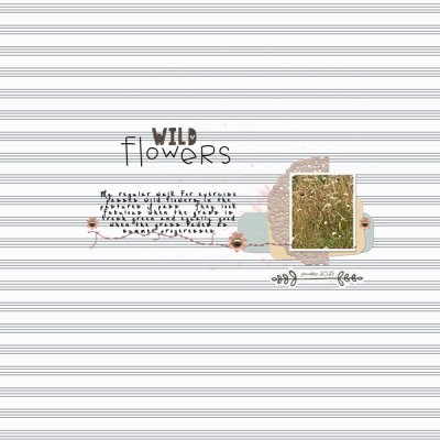 wild flowers