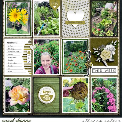 2023 Garden notes 37 right