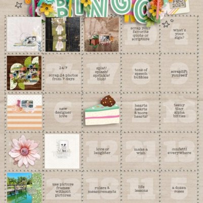 Feb Bingo 2025