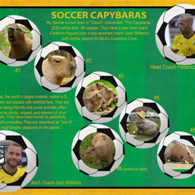 SOCCER CAPYBARAS