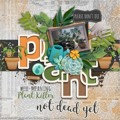 Plant Killer