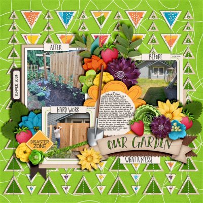 New Raspberry Fence