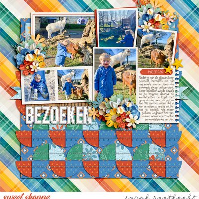 Bezoeken