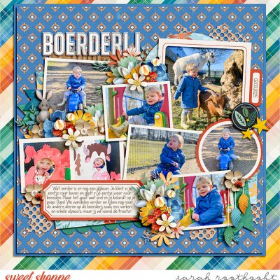 Boerderij