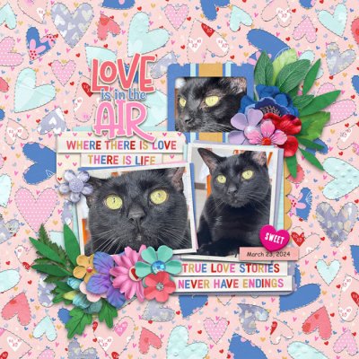 Love Is In The Air