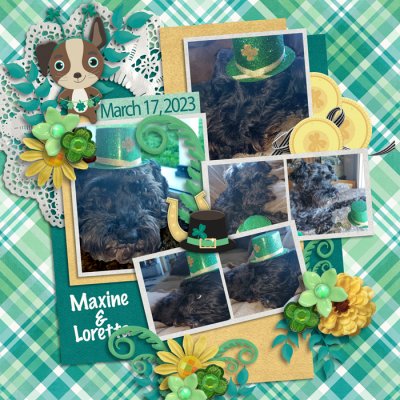 Irish Luck by Clever Monkey Graphics
