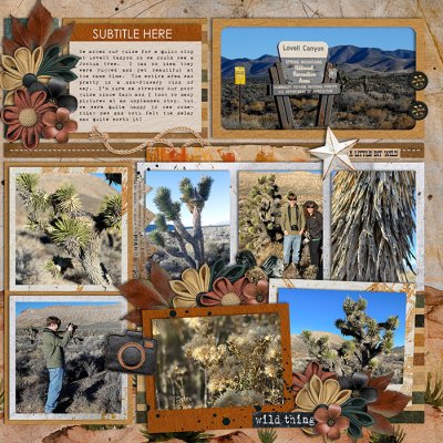 Joshua Trees