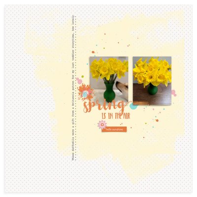 Daffodils