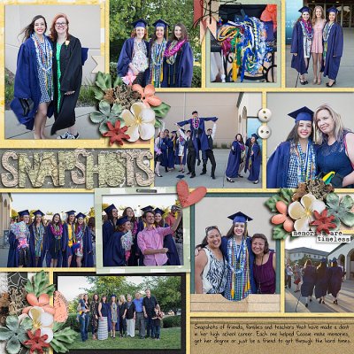 Snapshots-Grad
