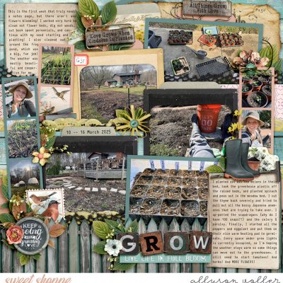 Grow: Garden notes week 11