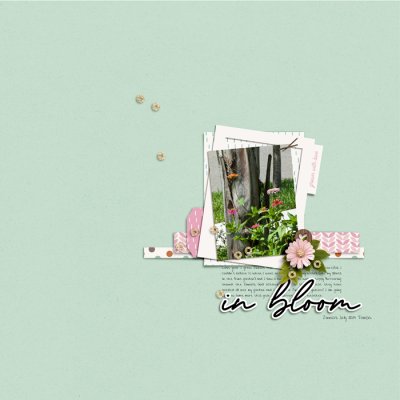 Design by Soco - Happy Garden