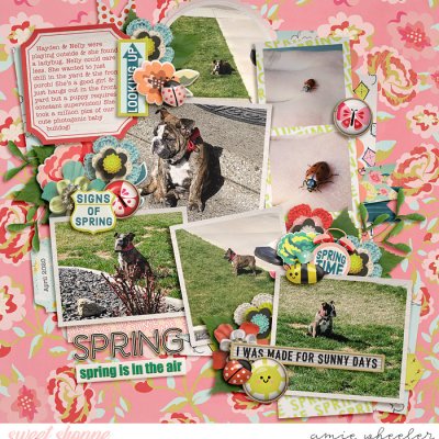 Spring