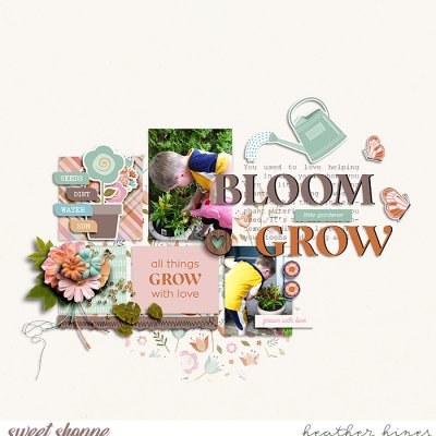 Bloom Grow