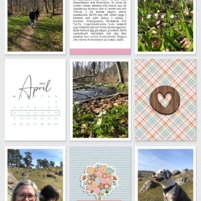 Week 15a 2023