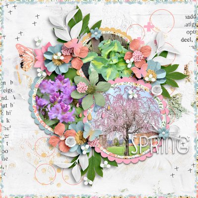 Spring