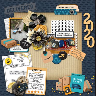 Pandemic Purchases in 2020