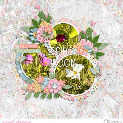 Spring Bloom