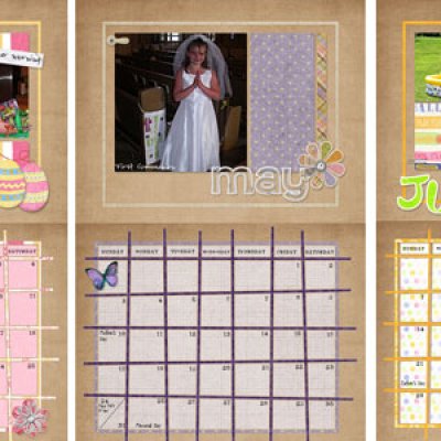 Calendars 2009 (2)