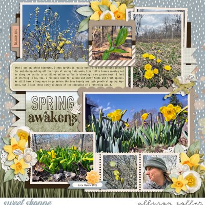 Spring Awakens