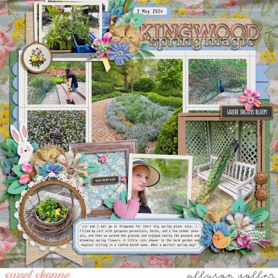 Kingwood Spring Magic